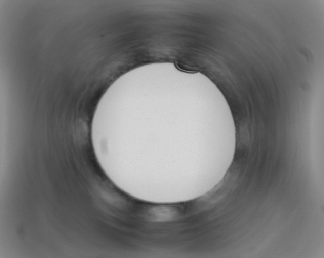 X0000113370183200910131328