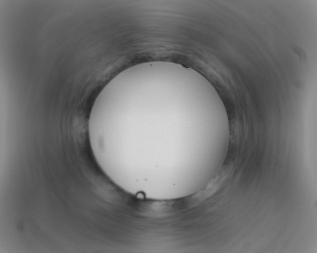 X0000113370184200910131328