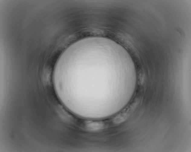 X0000113370185200910131328