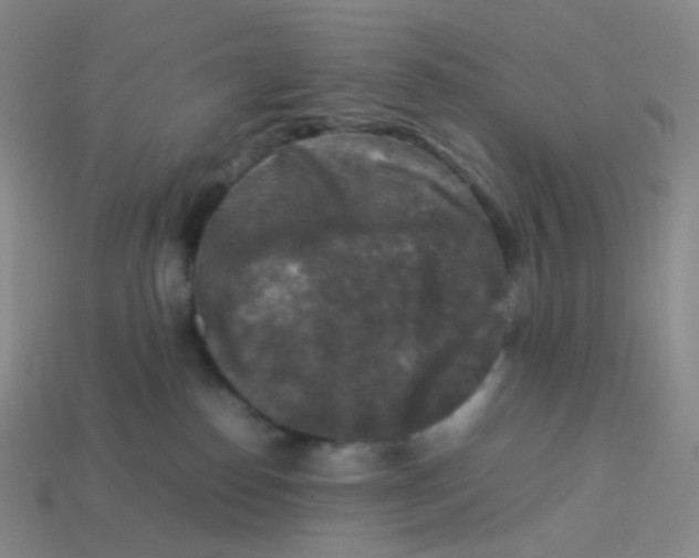 X0000113370186200910131328