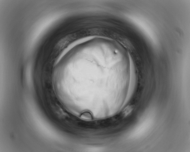 X0000113370189200910131328
