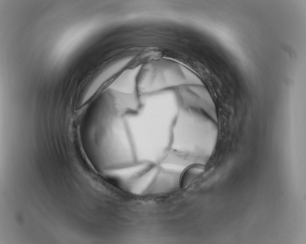 X0000113370194200910131327