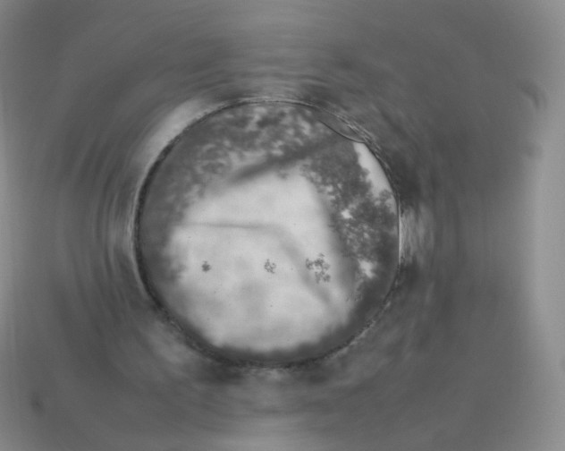 X0000113370195200910131327