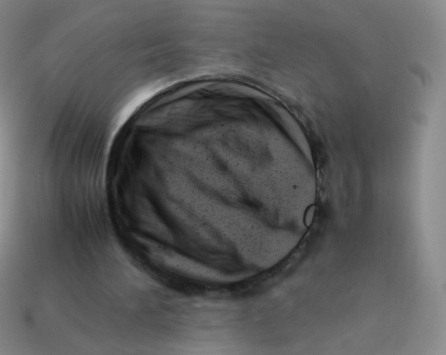 X0000113370196200910131327