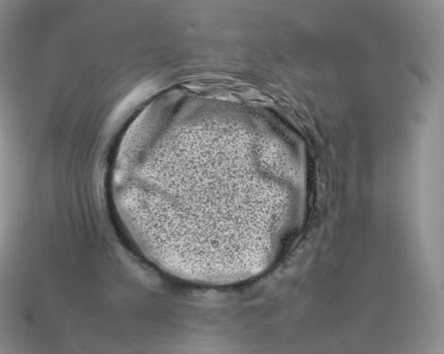 X0000113370197200910131327