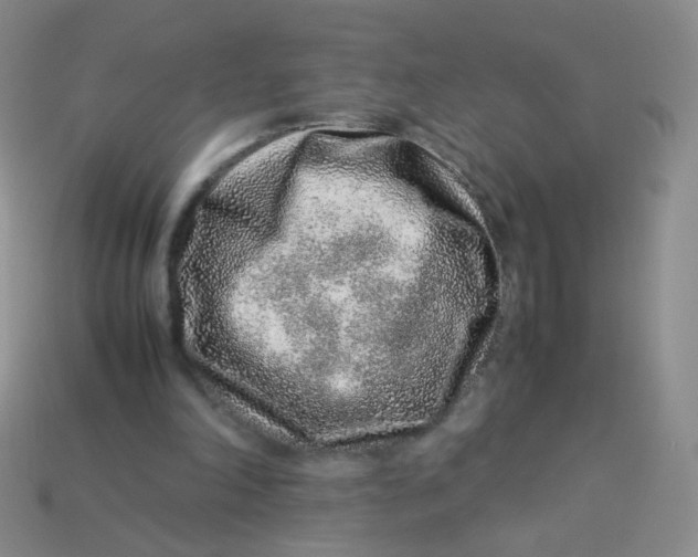 X0000113370198200910131327