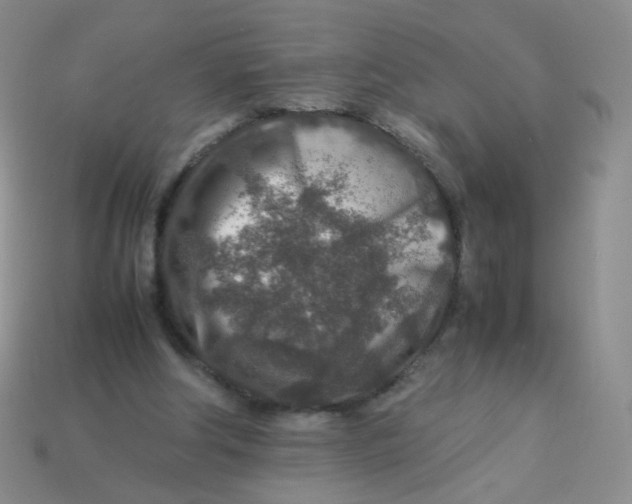 X0000113370202200910131327