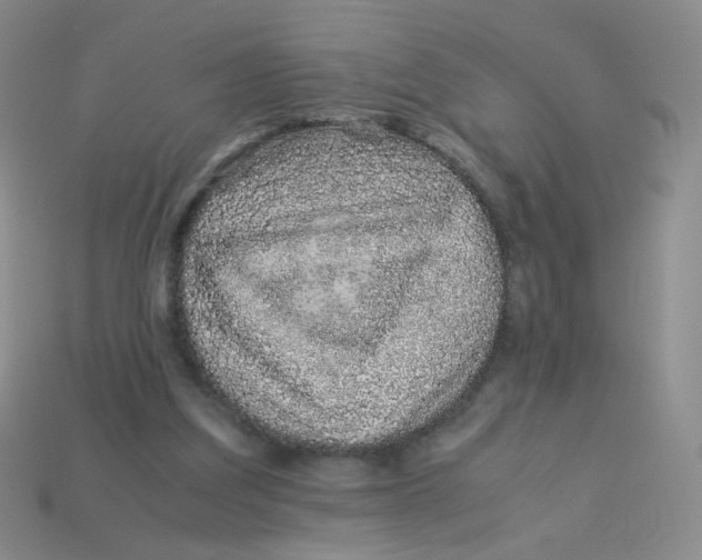 X0000113370203200910131327