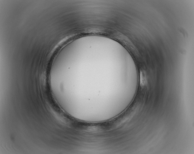 X0000113370204200910131327