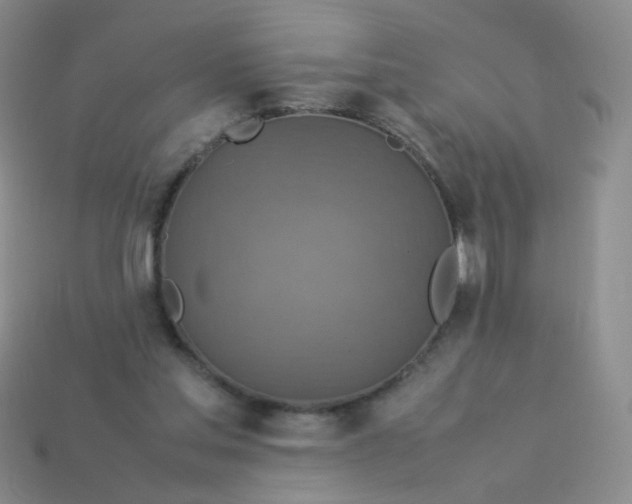 X0000113370205200910131327