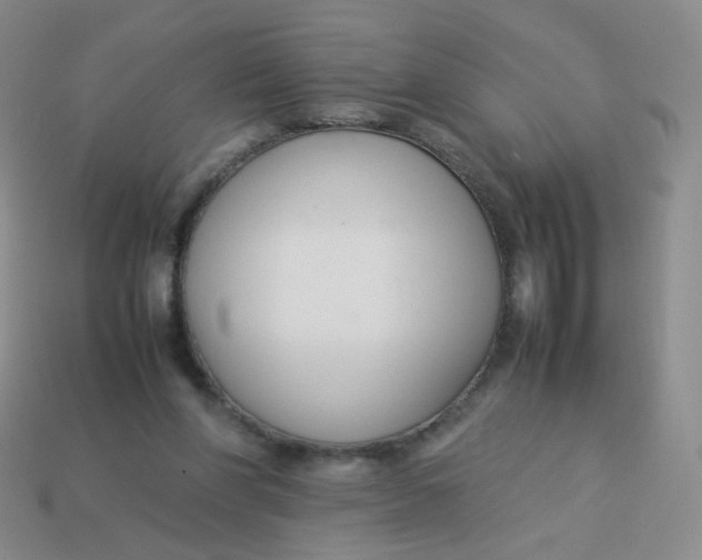X0000113370206200910131327