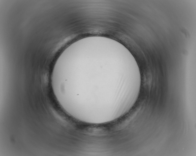 X0000113370208200910131327