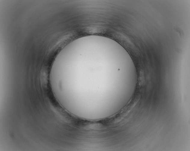 X0000113370210200910131327
