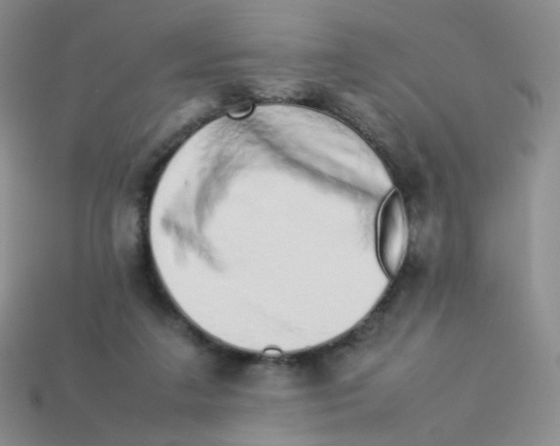 X0000113370211200910131327