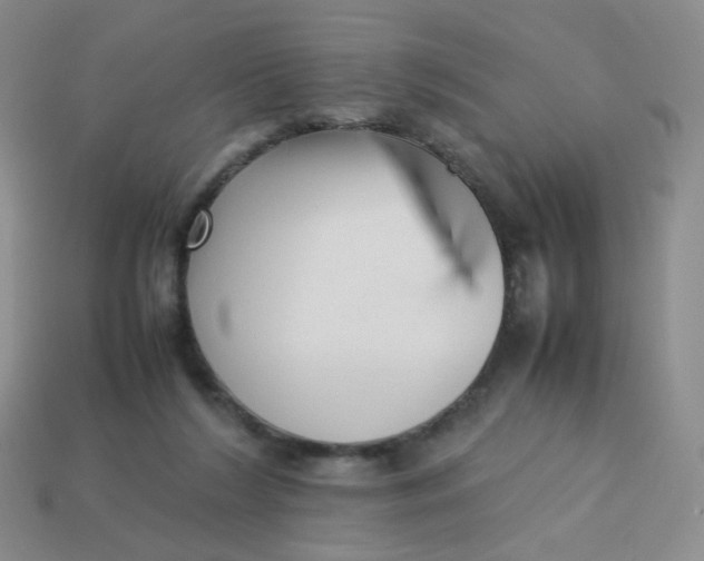X0000113370212200910131327