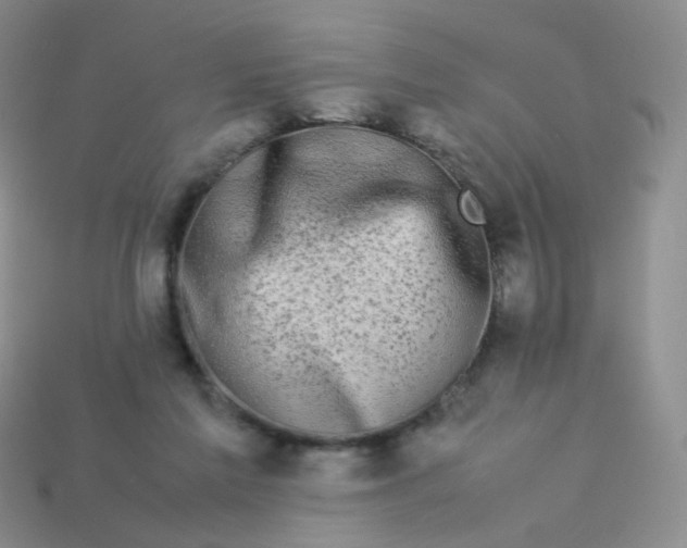 X0000113370213200910131327