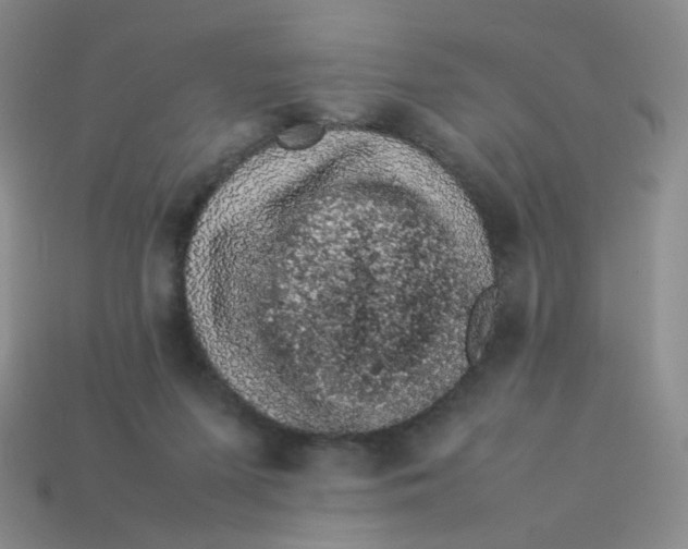 X0000113370215200910131327