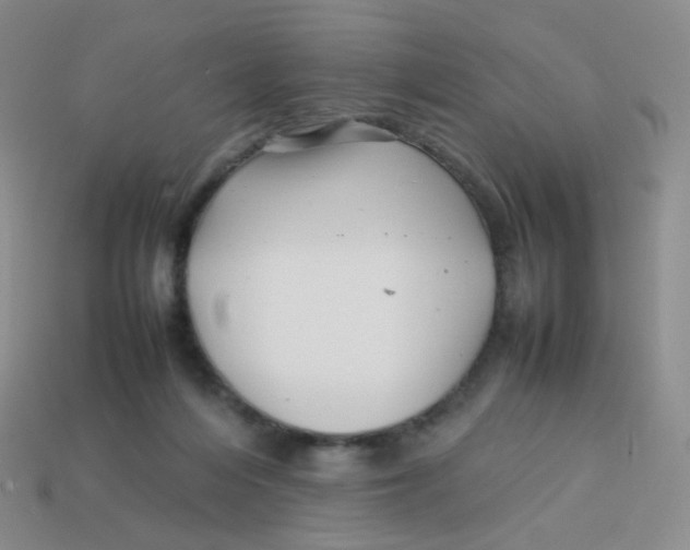 X0000113370216200910131327