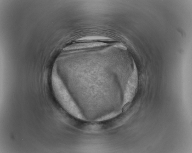 X0000113370217200910131327
