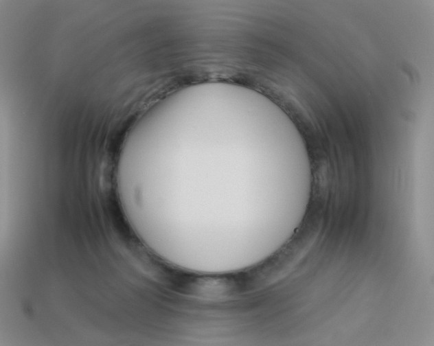X0000113370218200910131327