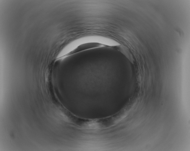 X0000113370219200910131327