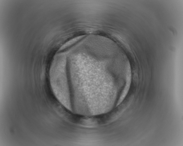 X0000113370221200910131327