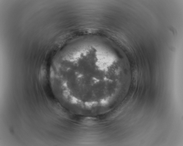 X0000113370222200910131327