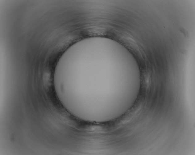 X0000113370224200910131327