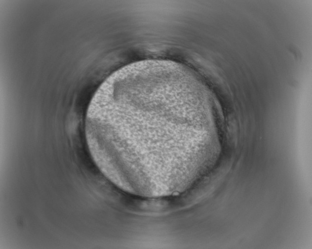 X0000113370225200910131327