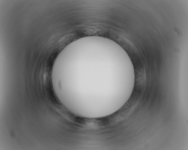 X0000113370226200910131327