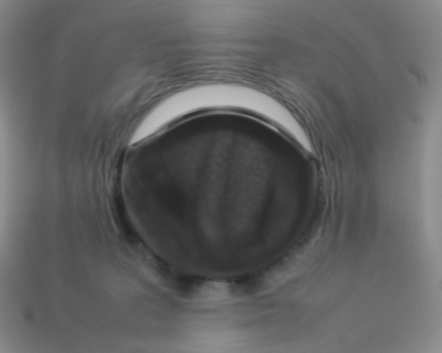 X0000113370227200910131327