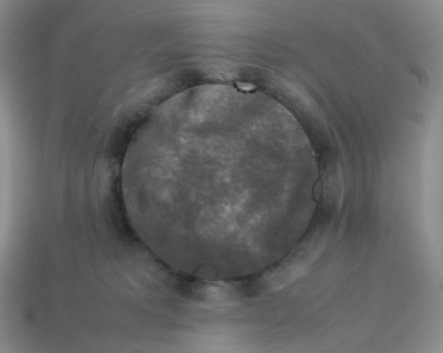 X0000113370229200910131327