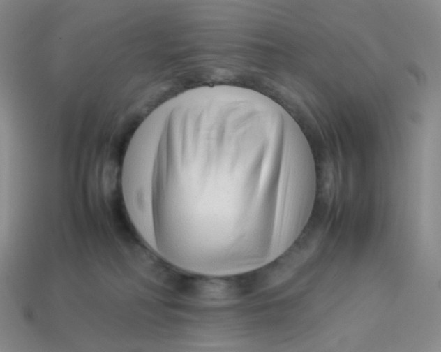 X0000113370230200910131327