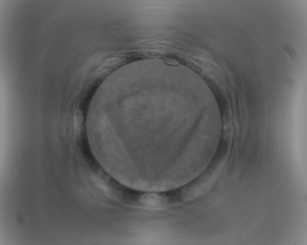 X0000113370231200910131327