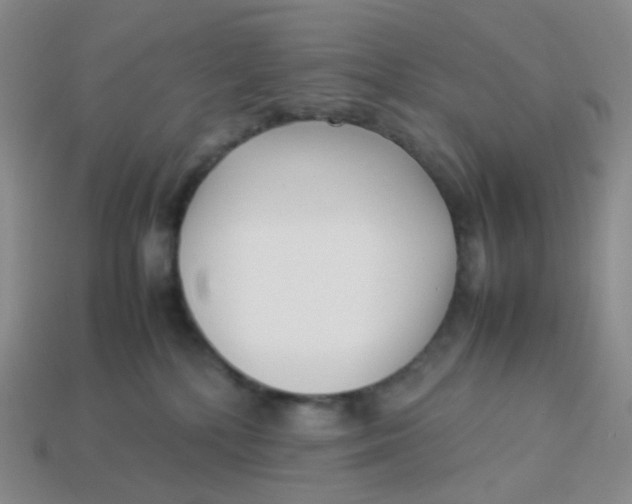 X0000113370232200910131327