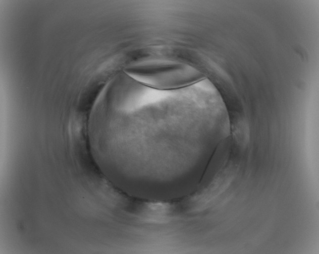 X0000113370233200910131327
