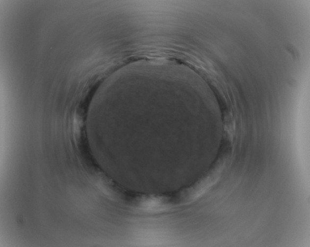 X0000113370235200910131327