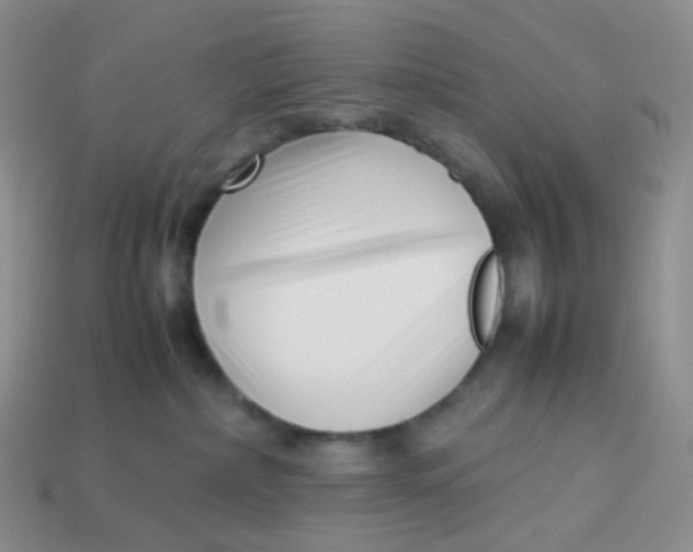 X0000113370236200910131327