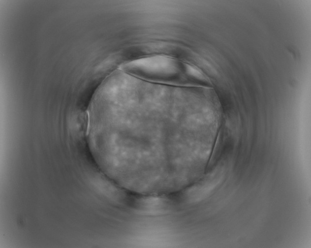 X0000113370237200910131327
