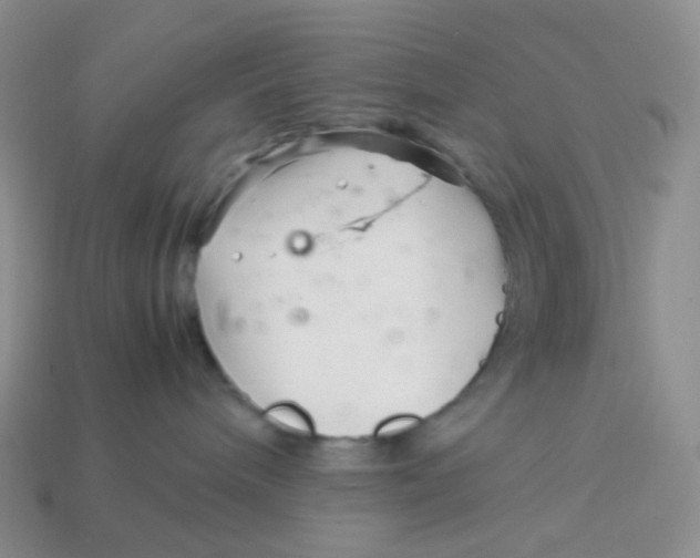 X0000113370240200910131327