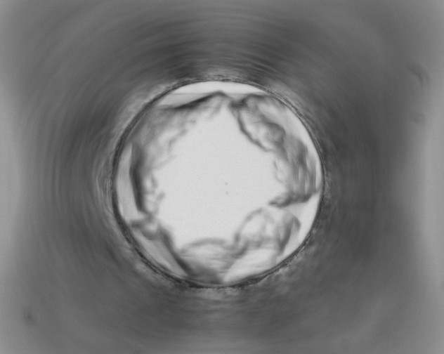 X0000113370241200910131326