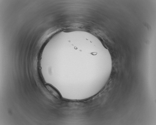 X0000113370242200910131326