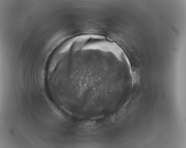 X0000113370243200910131326