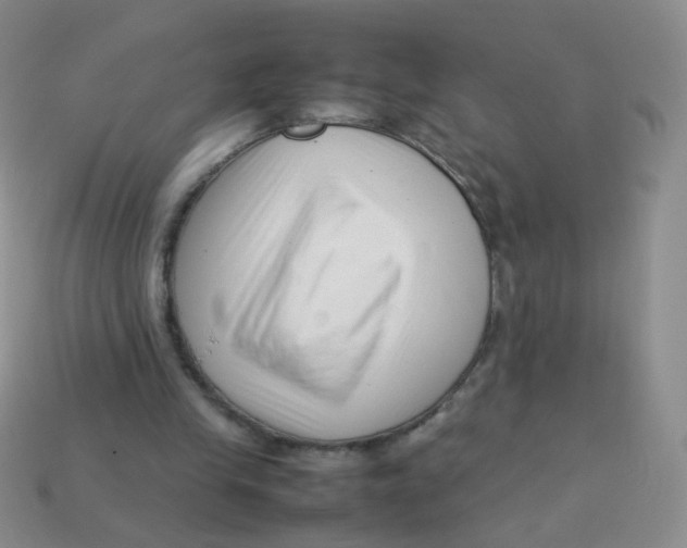 X0000113370245200910131326