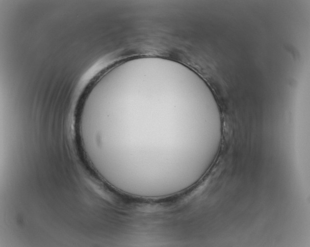 X0000113370246200910131326