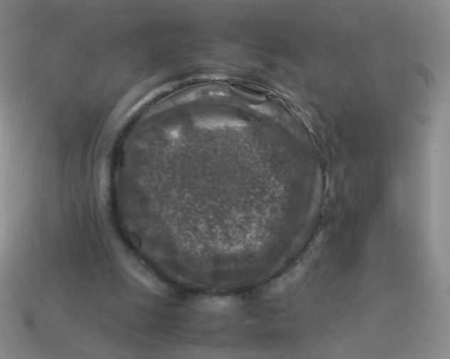 X0000113370247200910131326
