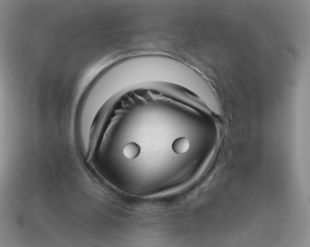 X0000113370248200910131326