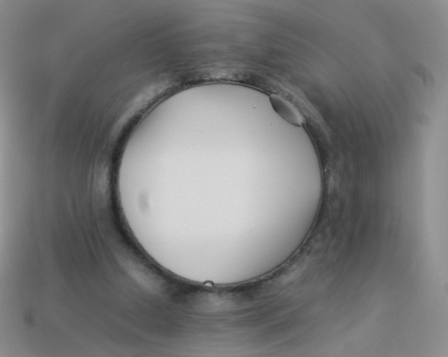 X0000113370250200910131326