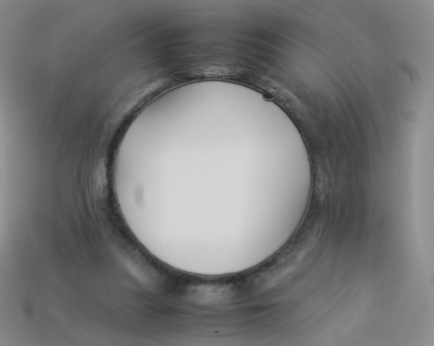 X0000113370251200910131326
