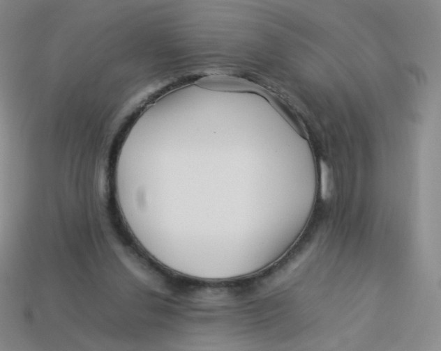 X0000113370252200910131326
